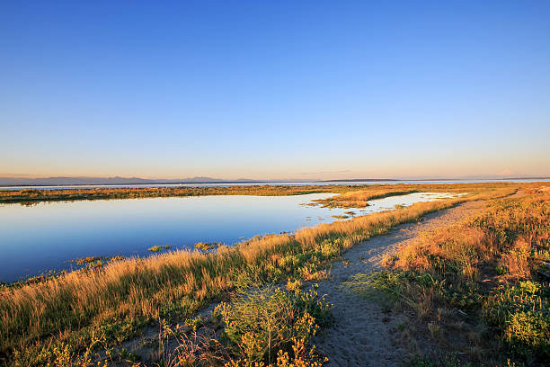 istock sunset view of a beach naturally forming a beautiful lakes 587954896