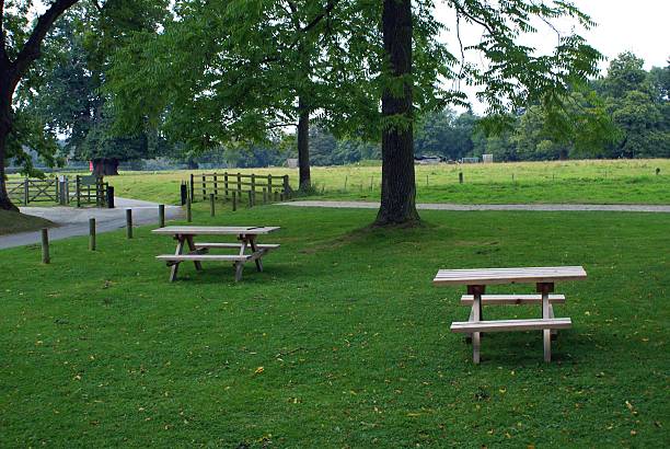 istock wooden picnic benches 587955644
