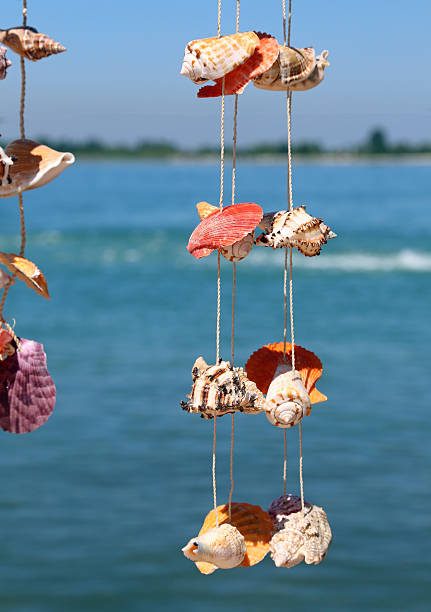 istock rare shells hanging from a wire to decorate the House 587956572