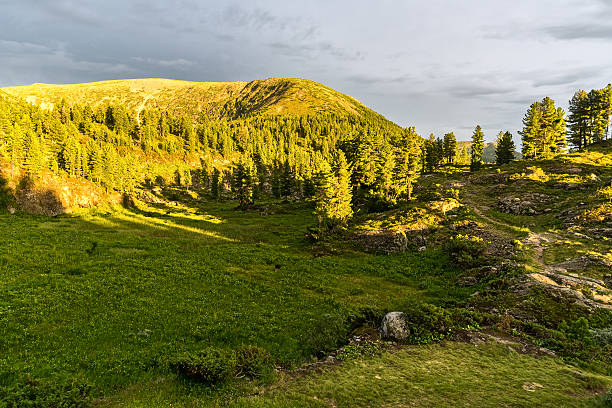 istock Evening in the mountains of Khamar-Daban 587956644