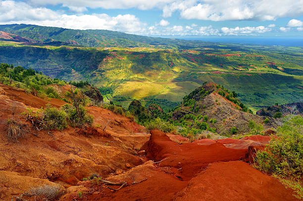istock Stunning view into Waimea Canyon 587956782