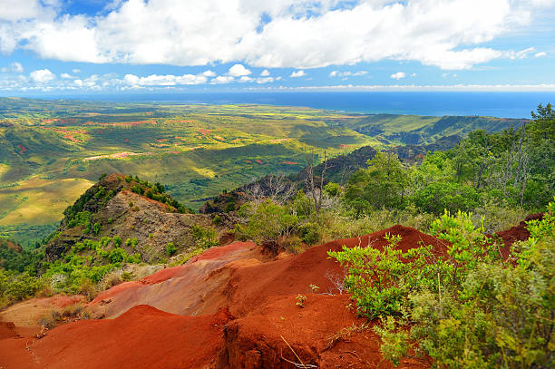 istock Stunning view into Waimea Canyon, Kauai 587956836