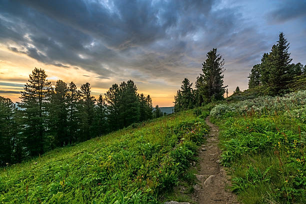istock Beautiful sky at sunset in Khamar-Daban mountains 587957034