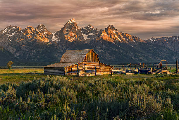 Sunrise at Moulton barn Sunrise at Moulton barn, Wyoming, USA capturing Alpine Glow. wyoming stock pictures, royalty-free photos & images