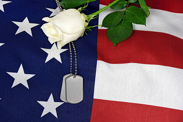istock dog tags and white rose on flag 588212686