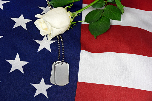 Military dog tags and white rose on American flag.