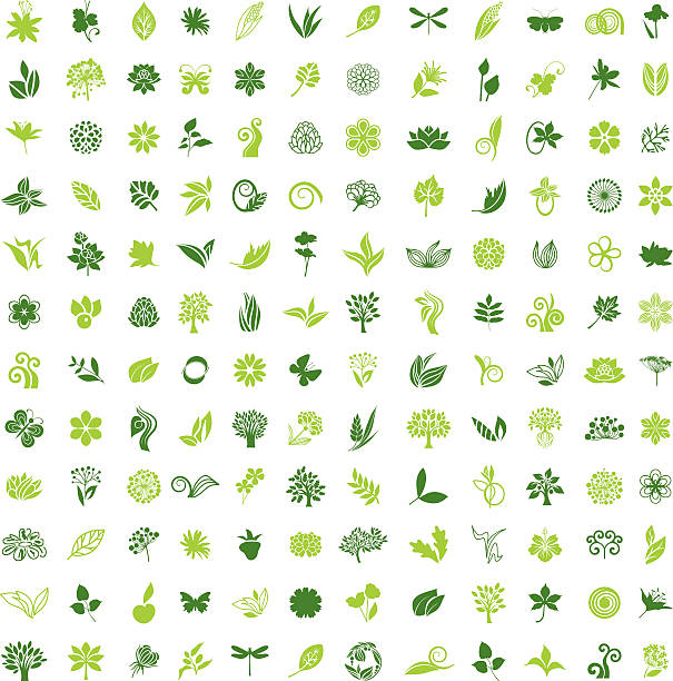 Big natural collection Set of natural icons aquatic plant stock illustrations