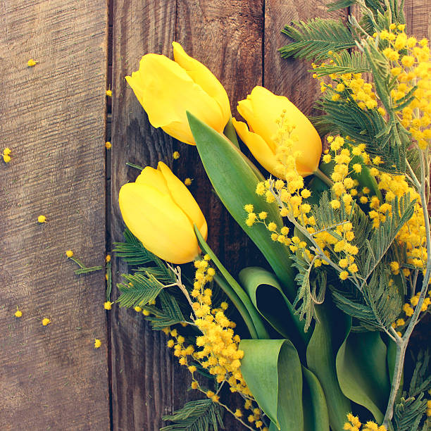 Spring flowers: yellow tulips, mimosa on the old wood background. Toned image. 