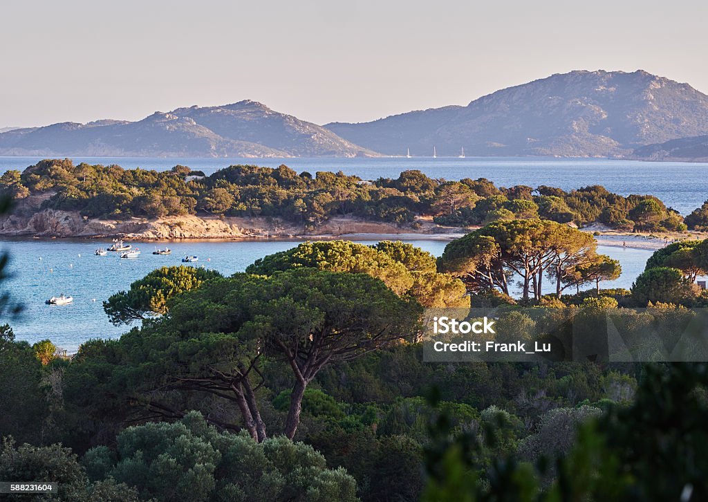 Palombaggia Beach Palombaggia beach in the south of Corsica is famous for its crystal clear water Beach Stock Photo