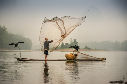 Traditional Chinese 75 year old senior fisherman in traditional clothes and bamboo hat on his wooden fishing raft with two cormorants fishing with a net on the Li River in the early morning fog light at sunrise. Shot at Xing Ping, close to the city of Yangshuo County, Guangxi, Guilin, China.