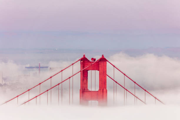 istock Golden Gate Bridge Tower with low fog, San Francisco 588238364