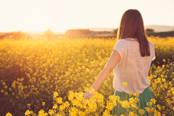 istock Flowers and the sunset 588239056