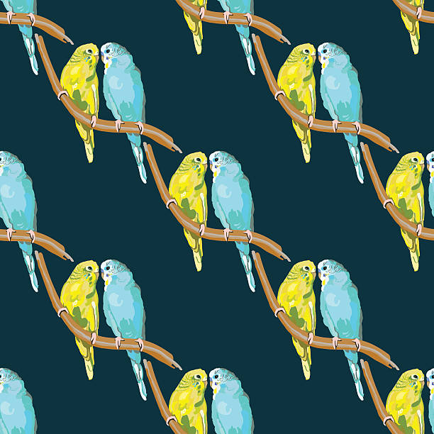 Pair of lovebirds agapornis-fischeri Seamless pattern with dotted parrots and hearts on the colorful blots background echo parakeet stock illustrations