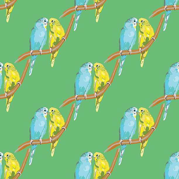 Pair of lovebirds agapornis-fischeri Seamless pattern with dotted parrots and hearts on the colorful blots background echo parakeet stock illustrations