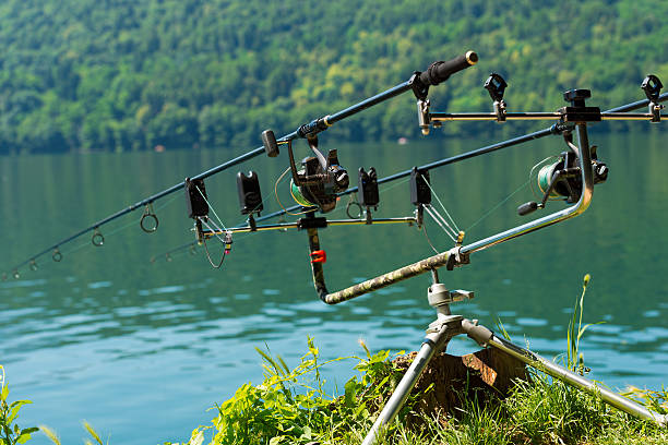istock Carp Fishing Rods with Reel on Support System 588242886