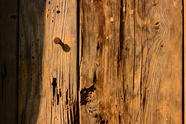 istock Old Vintage brownie painted wood board texture background 588243602