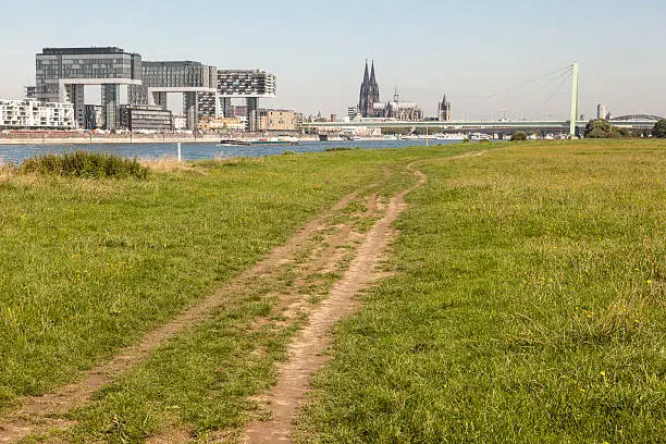 Green meadow on the right bank of the Rhine River in Cologne, Germany