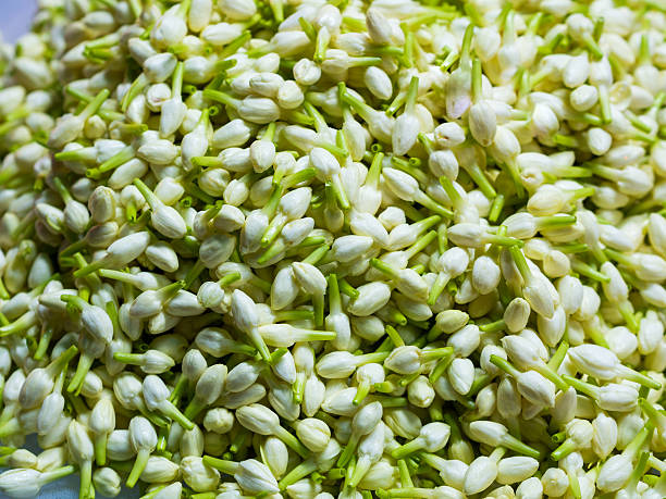 istock Flowers in Pak Khlong Talat 588248332
