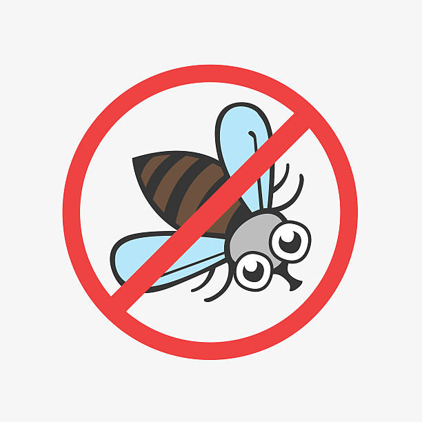 ilustrações de stock, clip art, desenhos animados e ícones de funny vector icon fly. flat illustration for your design - fly housefly ugliness unhygienic