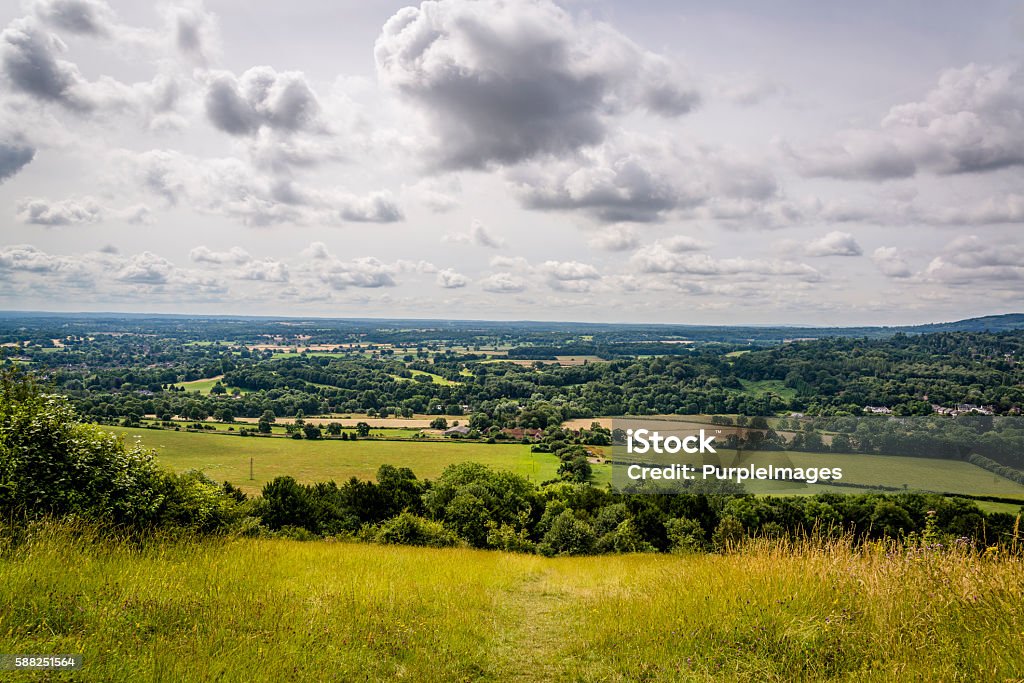 El valle del Topo en Surrey, Inglaterra, Reino Unido - Foto de stock de Surrey - Inglaterra libre de derechos