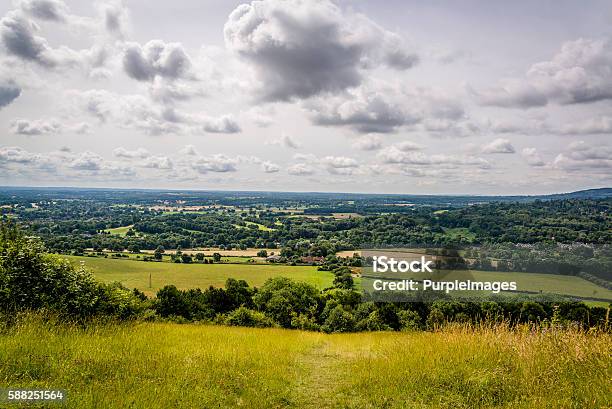 El Valle Del Topo En Surrey Inglaterra Reino Unido Foto de stock y más banco de imágenes de Surrey - Inglaterra