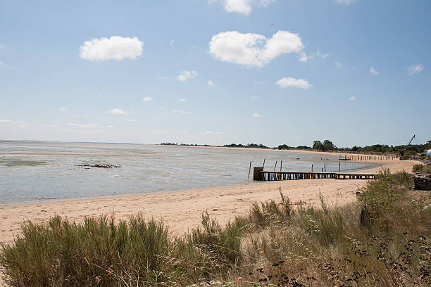 istock landscape the Atlantic coast from a French island 588252666