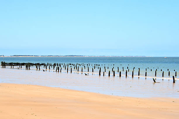 landscape from the Atlantic coast from a French island