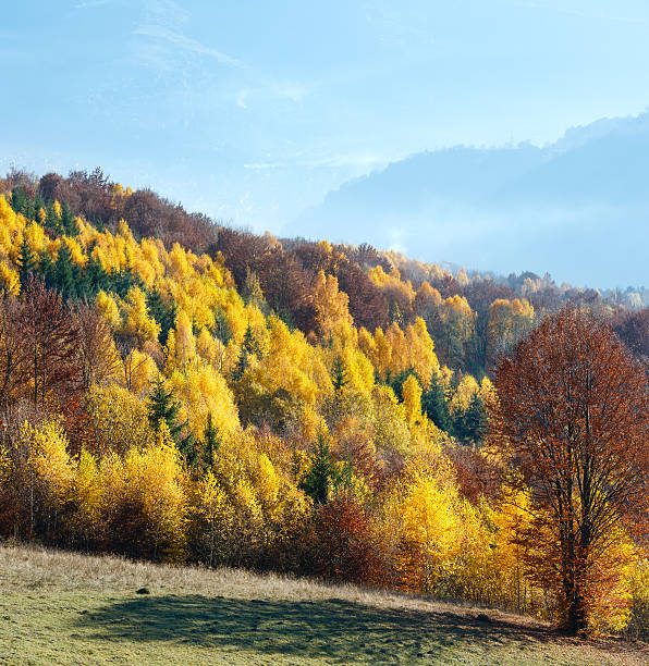 istock Golden autumn in mountain. 588255552