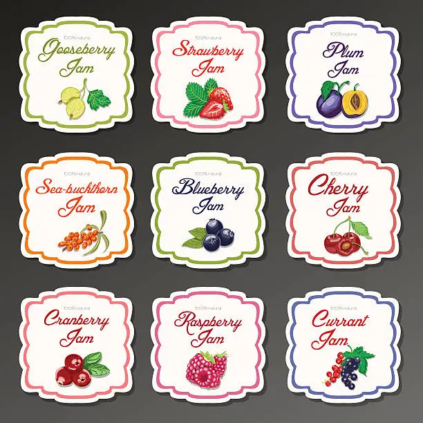 Vector illustration of Set of isolated labels for jam from berries