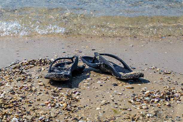 istock black flip flops on the beach, summer vacations 588256404
