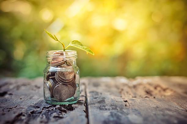 istock Business investment growth concept 588256902