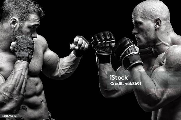 Fight Stock Photo - Download Image Now - Boxing - Sport, Fighting, Combat Sport