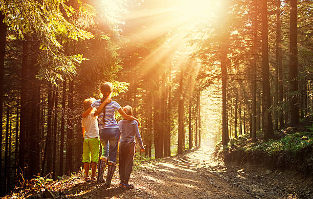 森の中で美しい太陽の光を見ている子供たち - gods rays ストックフォトと画像