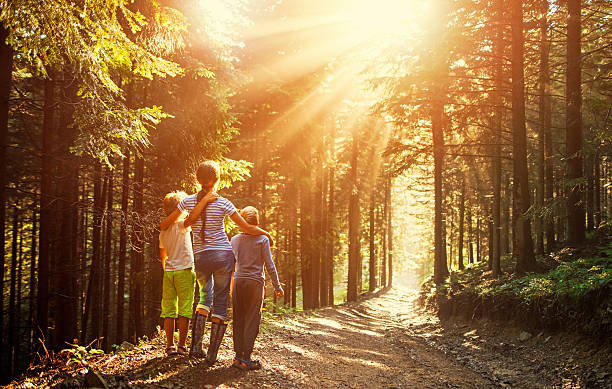 dzieci oglądające piękne promienie słoneczne w lesie - gods rays zdjęcia i obrazy z banku zdjęć