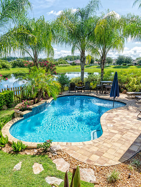 istock Beautiful Swimming Pool and Back Yard 588260772