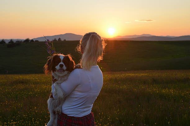 istock Woman Holding Her Dog in Sunset 588261618