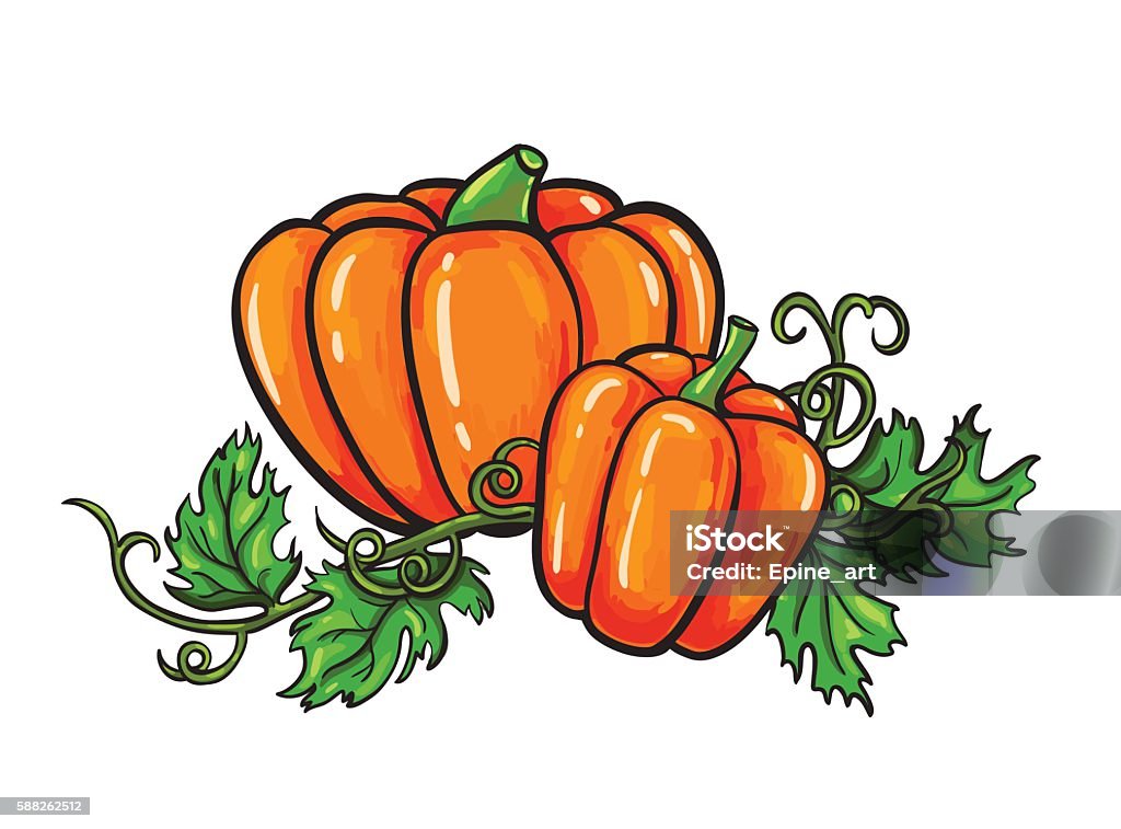 Ilustración de Dibujo Vectorial De Calabaza Verdura De Dibujos Animados Aislada Con Hojas O y más Vectores Libres de Derechos de Alimento - iStock Ilustración de Dibujo Vectorial De Calabaza Verdura De Dibujos Animados Aislada Con Hojas O y más Vectores Libres de Derechos de Alimento - iStock
