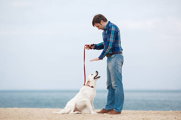 istock Man and dog having fun on seaside. 588265266