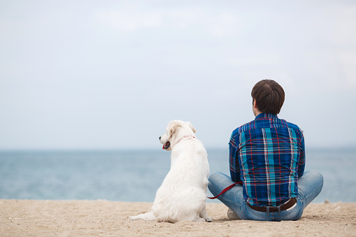 Guy,brunette with beautiful hair,wearing a blue plaid shirt and blue jeans,sitting on a sandy beach in the spring with his faithful friend,a dog breed Golden Retriever,his back turned to the photographer,face to the blue ocean