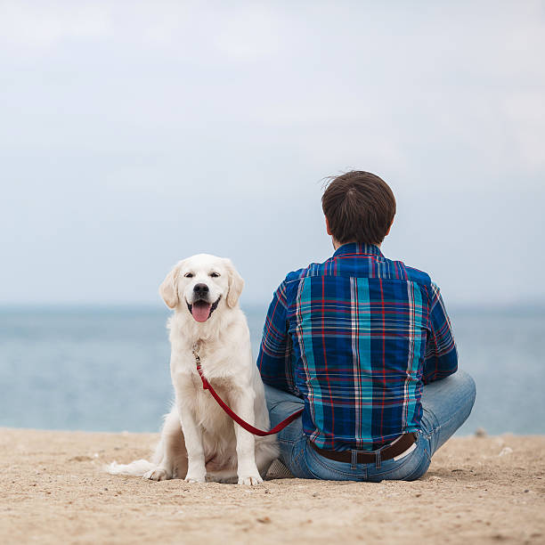 istock Man with his dog on the beach in the spring 588265516