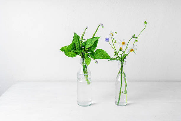 istock wild flowers in glass bottles on white background. 588265606