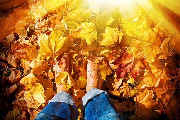 a piedi nudi in autunno foglie - human foot barefoot sole of foot human toe foto e immagini stock