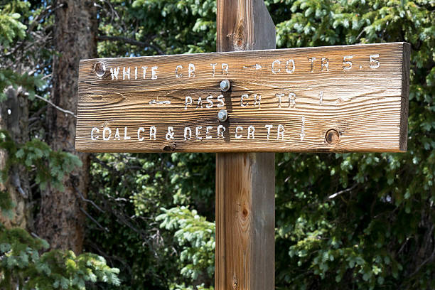 istock Wooden sign at a trail intersection in Colorado 588348802
