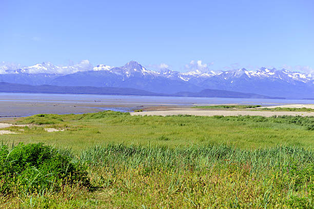 istock Wilderness Landscape in Alaska, USA 588349600