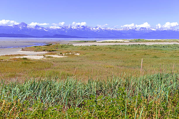 istock Wilderness Landscape in Alaska, USA 588349730