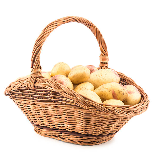 istock New potato isolated on white background. 588351866