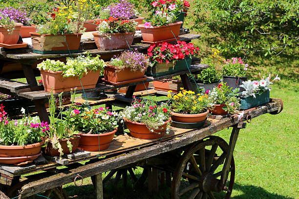 chariot decorated with many pots of flowers in the meadow in the mountains