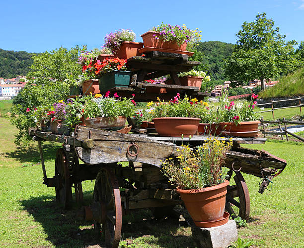 very old wooden wagon festooned with many pots of flowers in the meadow in the mountains