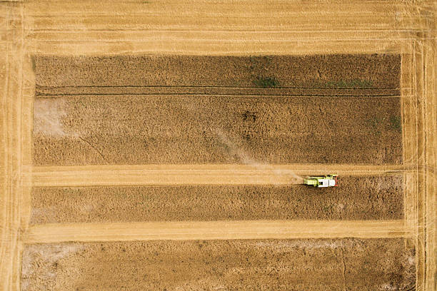 istock Aerial view - harvesting a field, combine harvester 588353856