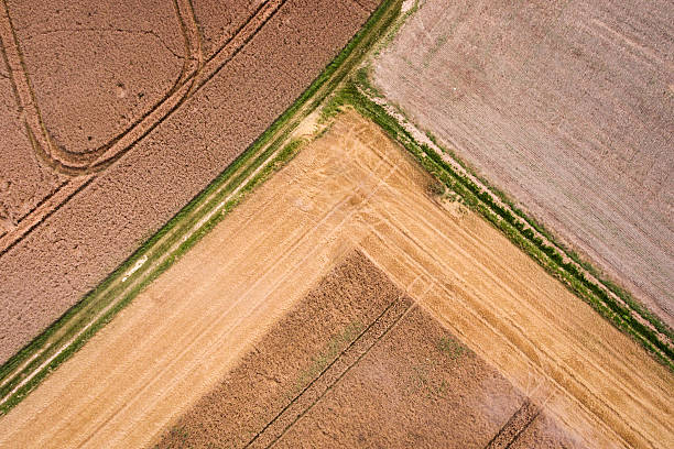 istock Aerial view - harvesting a field 588353920